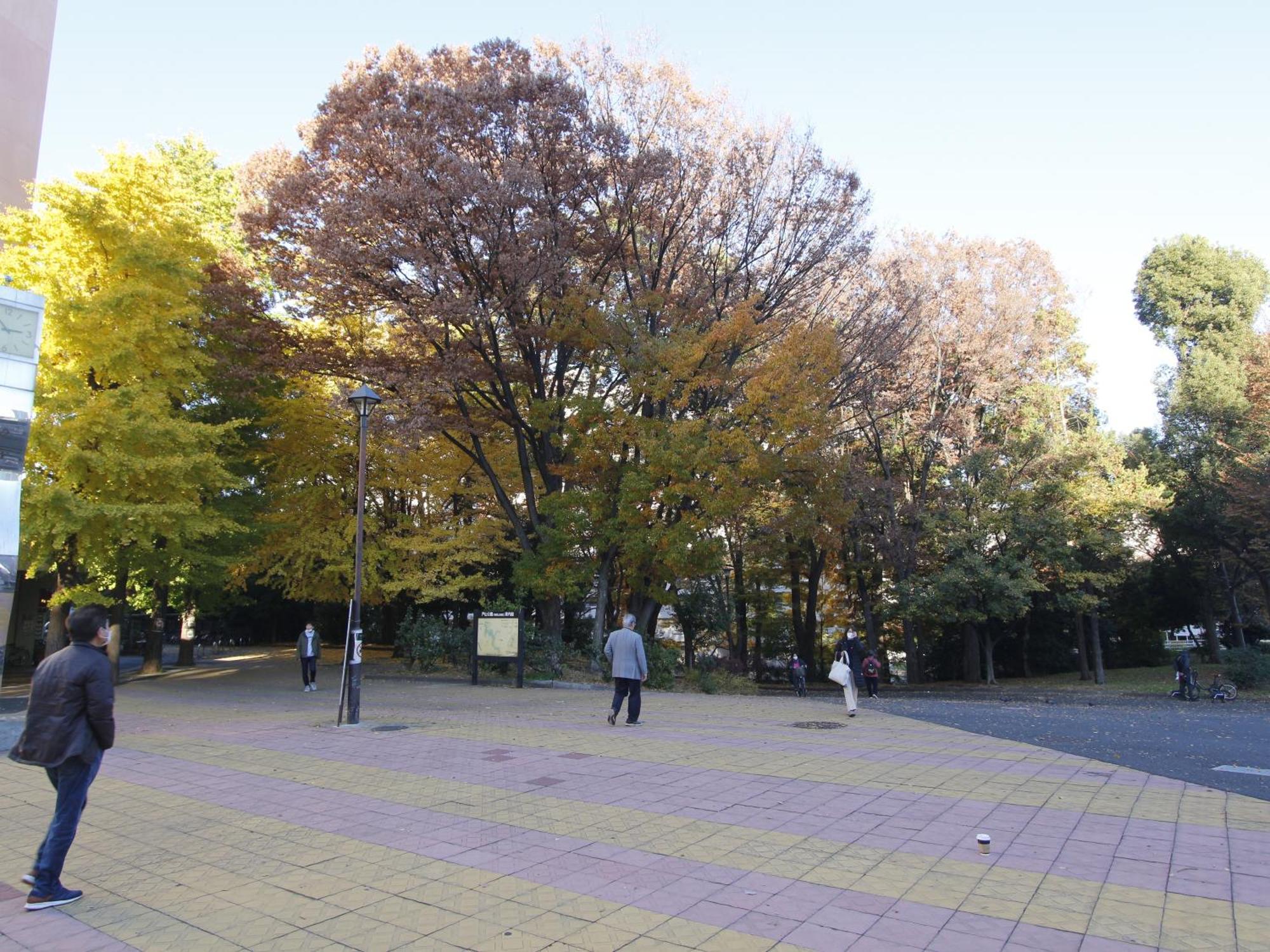 和貴ビル Apartment Tokyo Bagian luar foto