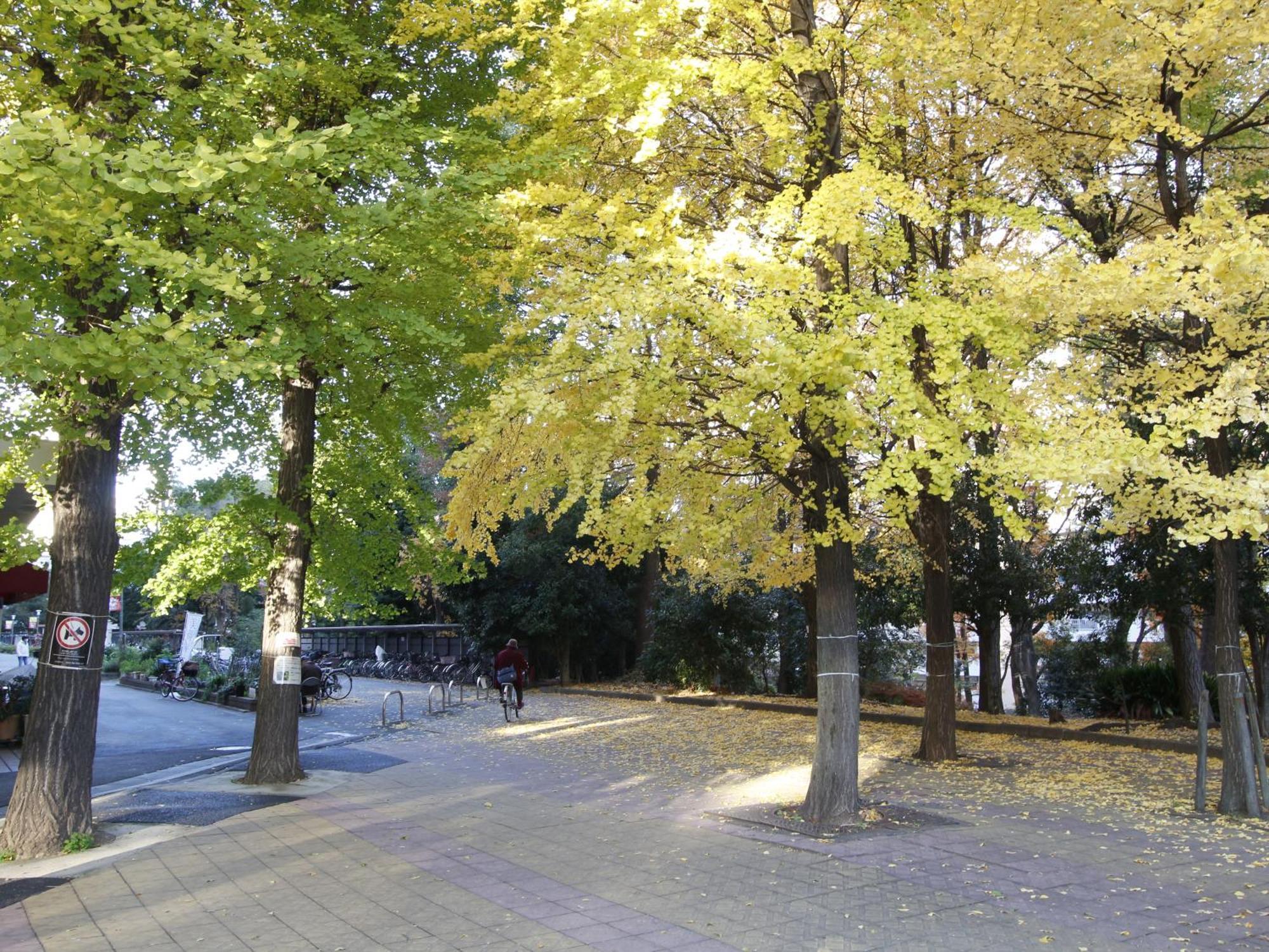 和貴ビル Apartment Tokyo Bagian luar foto